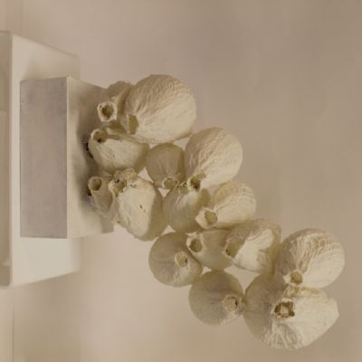Lauren H A2 Ceramic sculpture, ballon and fabric dipped in paper clay slip